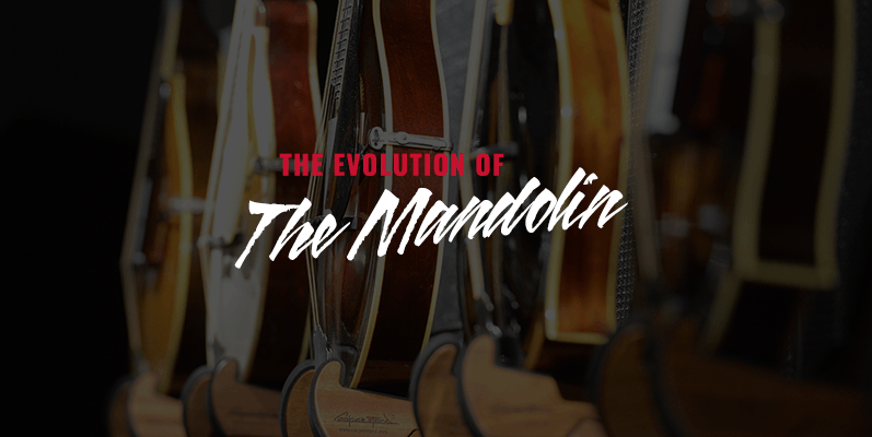 The Evolution of the Mandolin